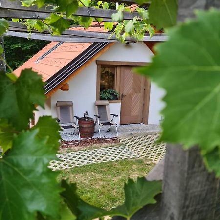 Villa Zidanica Zagar Dolenjske Toplice Exterior foto